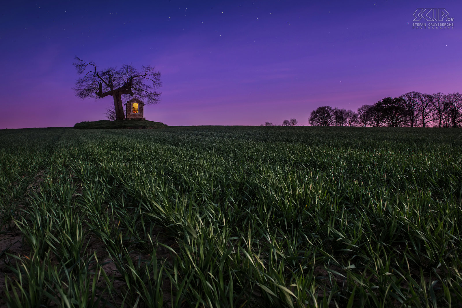 Sint-Pieters-Rode - Chapel of Saint Joseph under an old linden tree The castle and the chapel of Horst are photogenic landmarks near my new home. So in recent months I went out to photograph them several times, mostly in the evening and at night or when there were special weather conditions. I tried to create some unique photos of these monuments that differ from the images that already have been captured by many other people.<br />
 <br />
The small chapel of Saint Joseph is located in a field under an old linden tree nearby the castle. It has been built in the beginning of the 19th century. The chapel is located in the village of Sint-Pieters-Rode (Holsbeek) in the province Flemish Brabant (Belgium). Stefan Cruysberghs